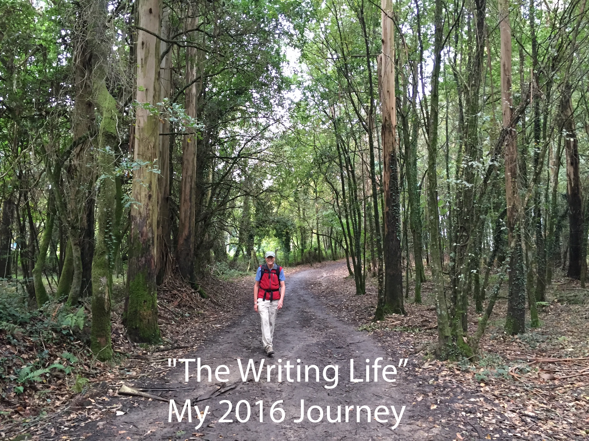 the writing life journey